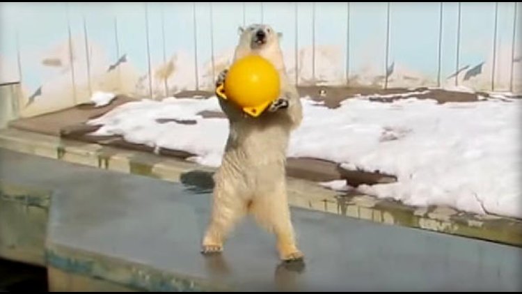 🦒 구시로시 동물원 이미지 6